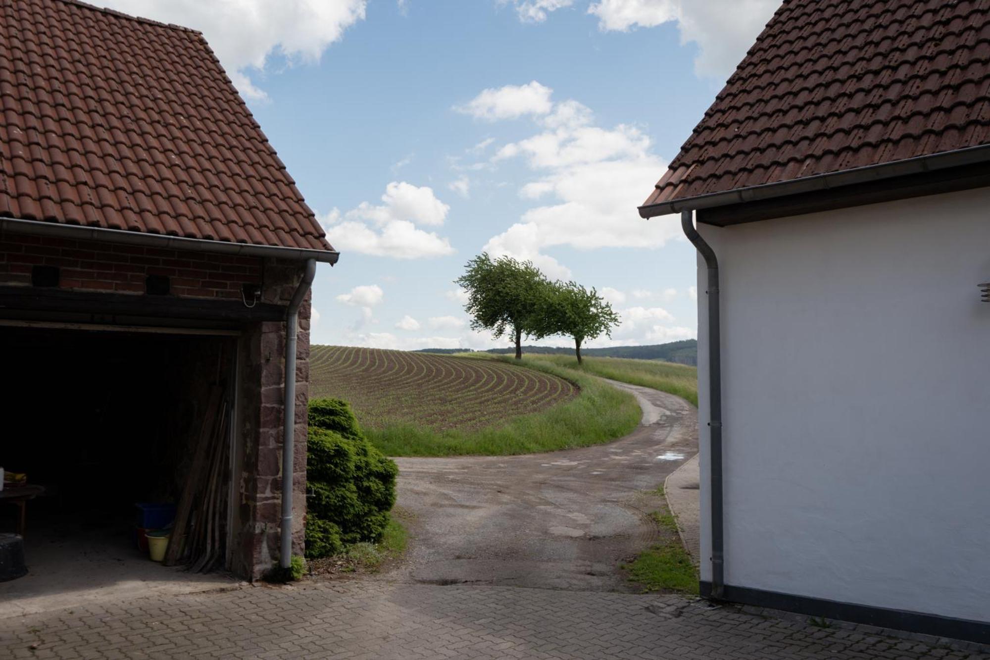 Idyllische Ferienwohnung Im Kalletal Extérieur photo